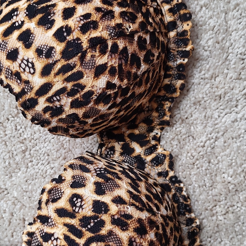 Leopard Print Bra - image 2
